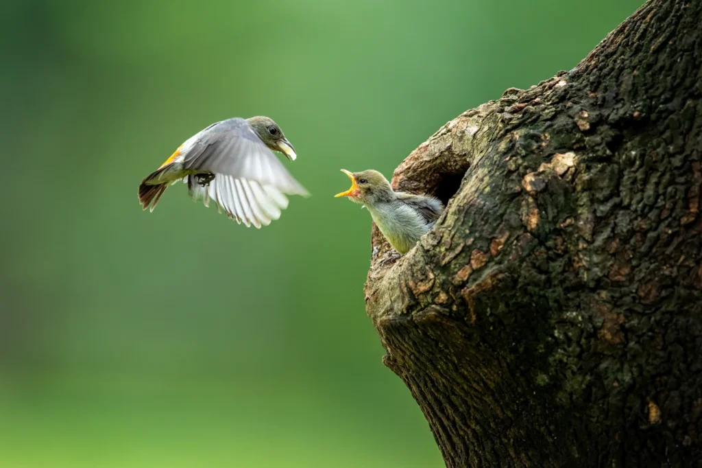 Umweltgutachten Berlin und Brandenburg.
